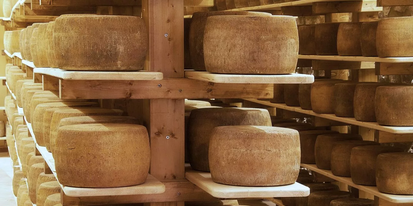 Ercoli 1928 - Stagionatura pecorino il fiorino
