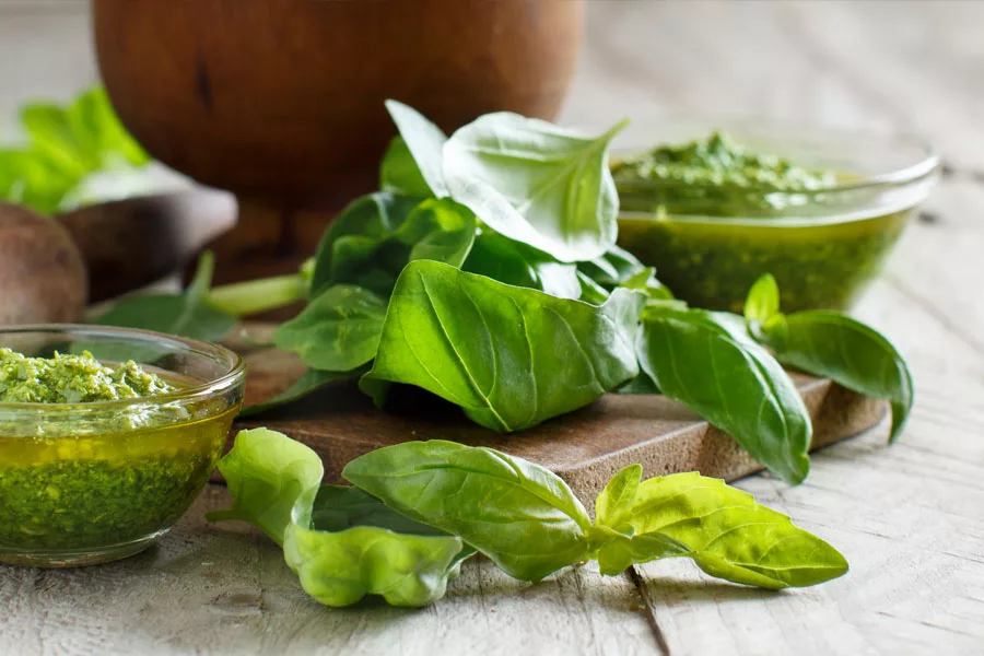 basilico per pesto alla genevose