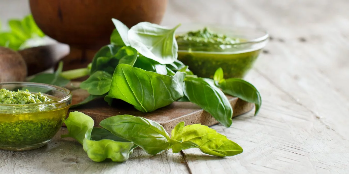 Ercoli 1928 - Pasta fredda al pesto