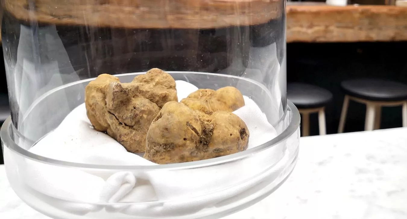 Ercoli 1928 - Tartufo bianco degustazione