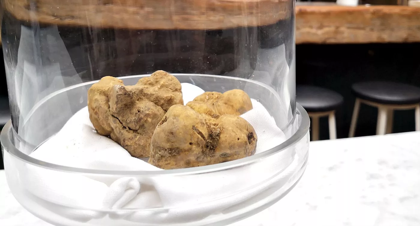 tartufo bianco