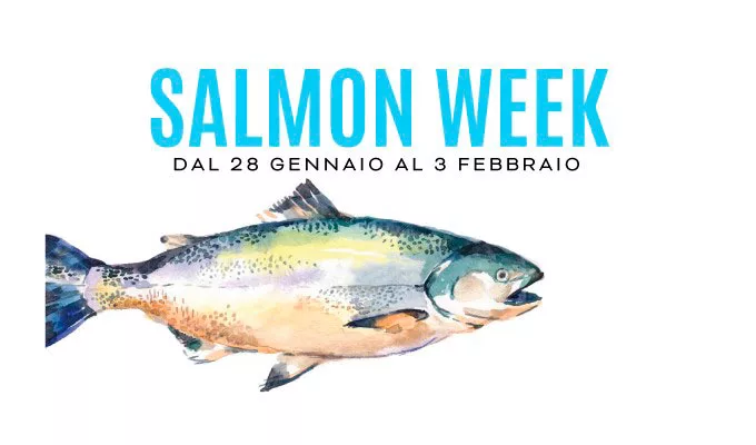 Ercoli 1928 - Salmonweek