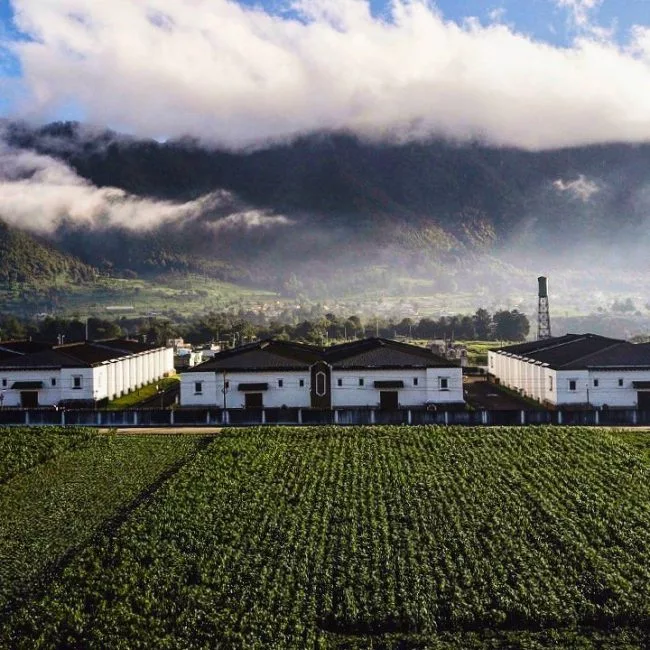 casa sopra le nuvole dove il rum zacapa viene invecchiato
