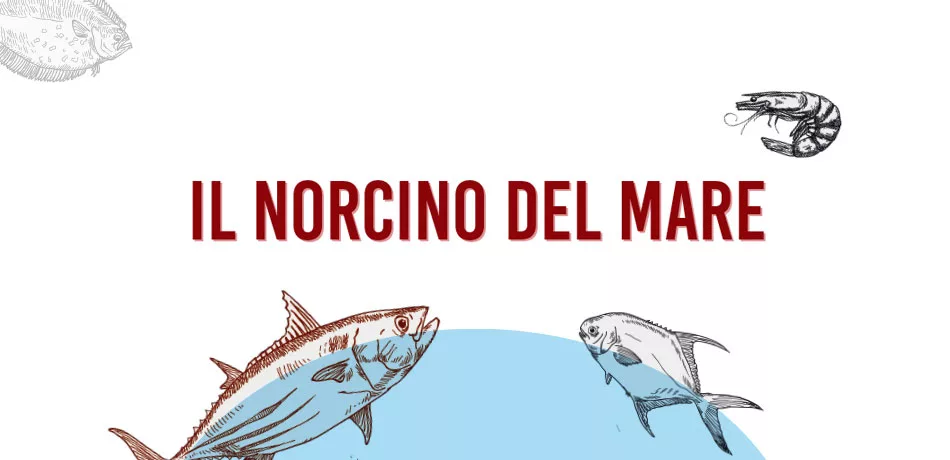 Ercoli 1928 - Evento norcino mare 1