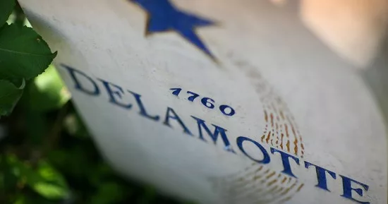 etichetta champagne delamotte