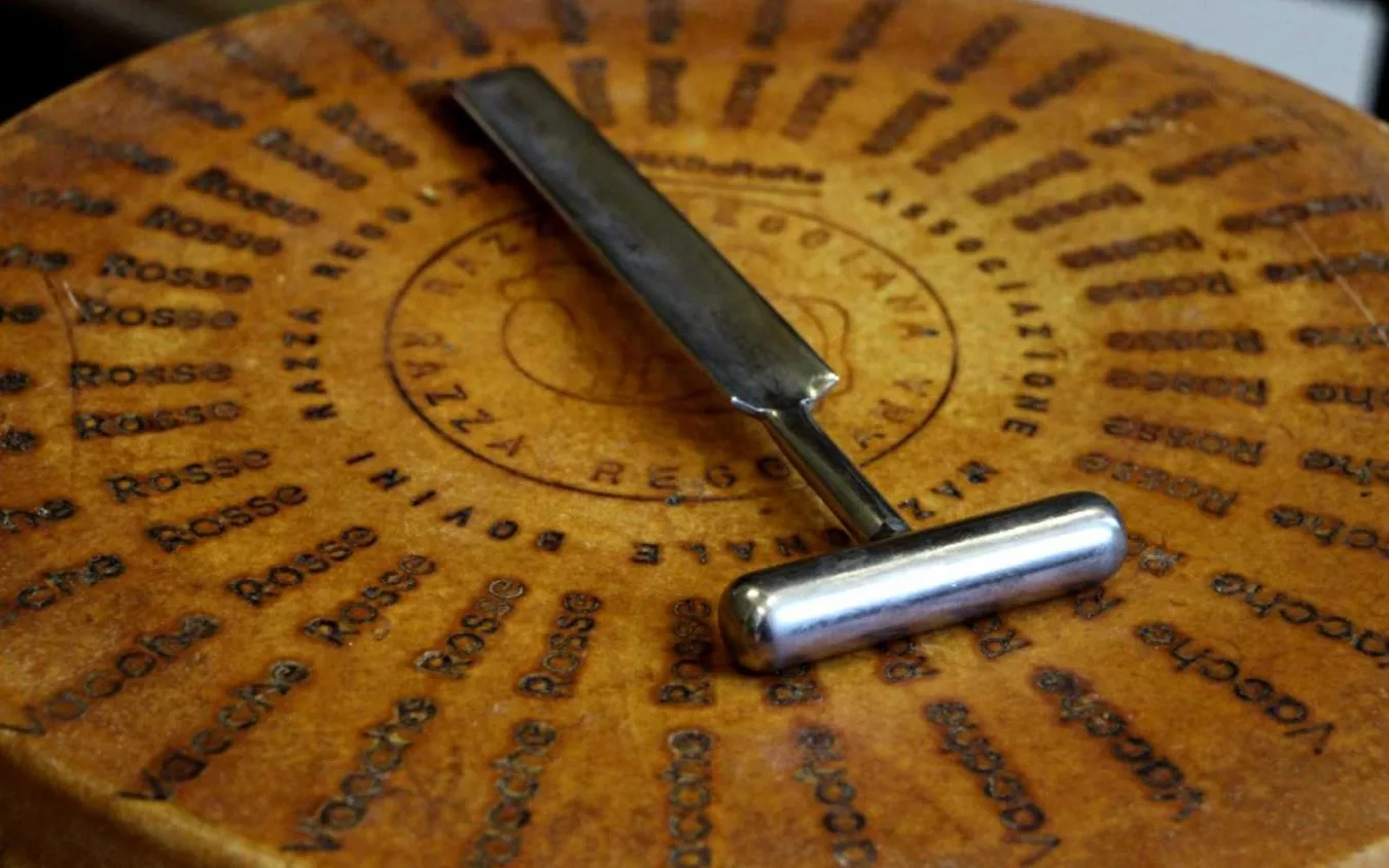 Ercoli 1928 - Forma parmigiano vacche rosse razza reggiana