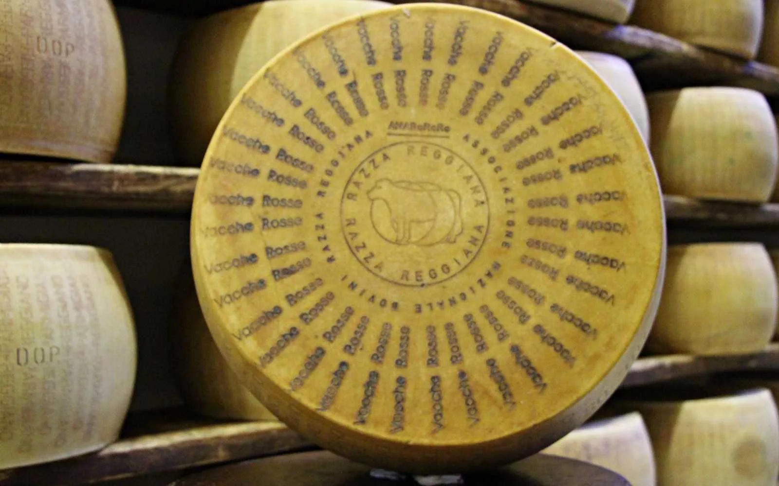 forma di parmigiano vacche rosse