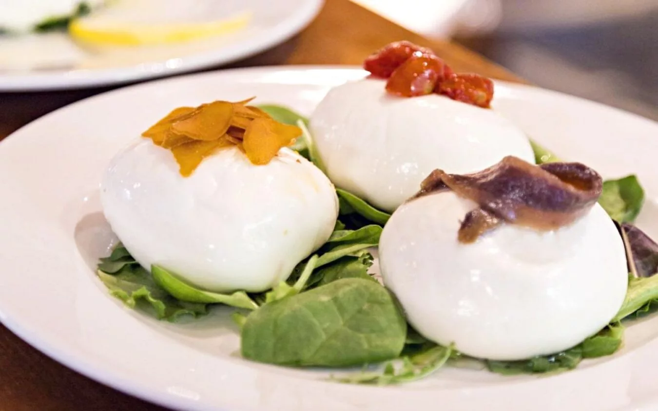 Ercoli 1928 - Mozzarella bufala campana dop abbinamenti 1