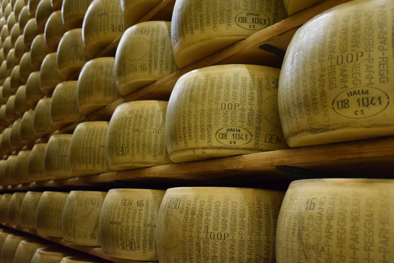 Ercoli 1928 - Parmigiano reggiano bruna alpina