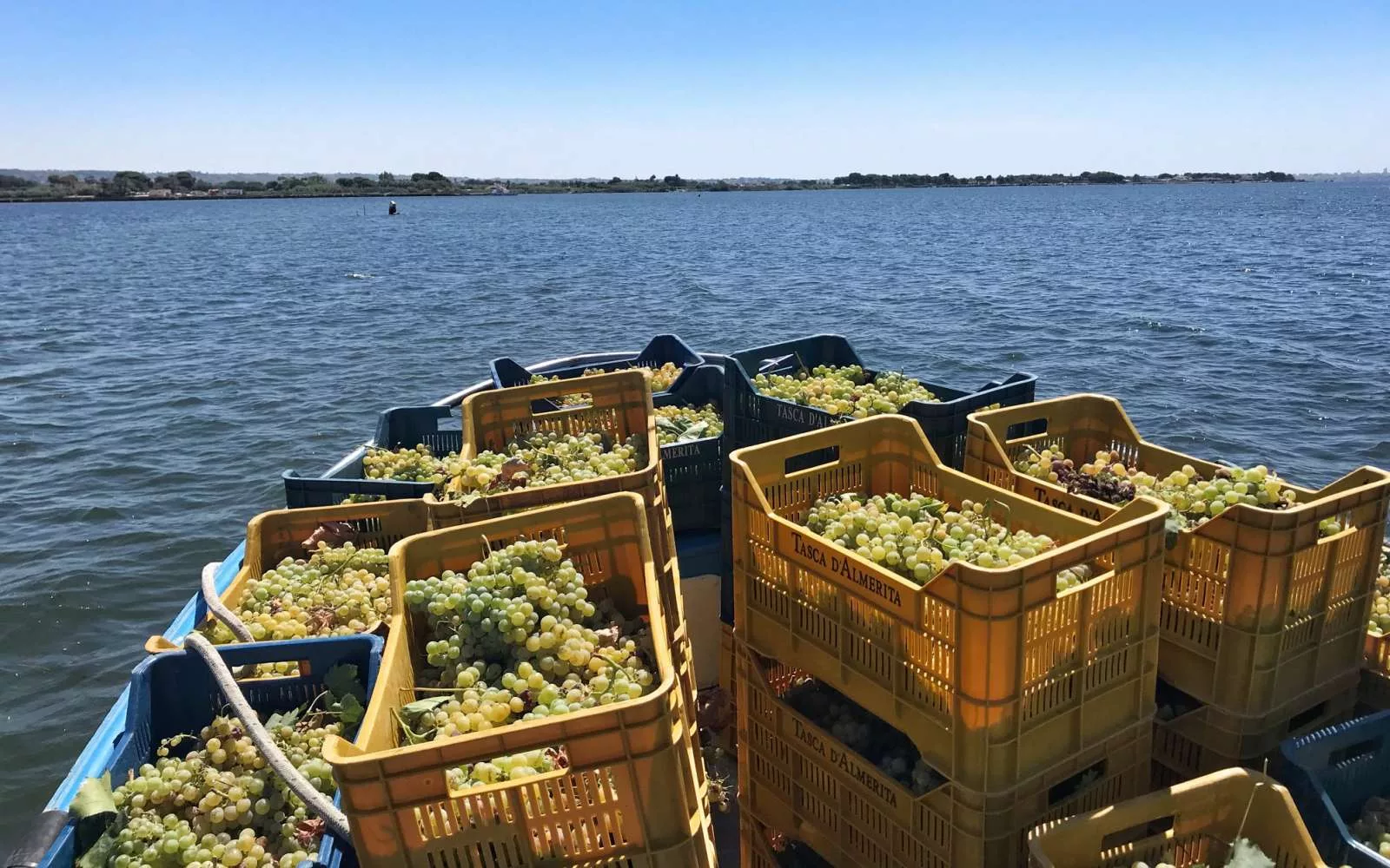 casse gialle con uva gialla per passito diamante d'almerita