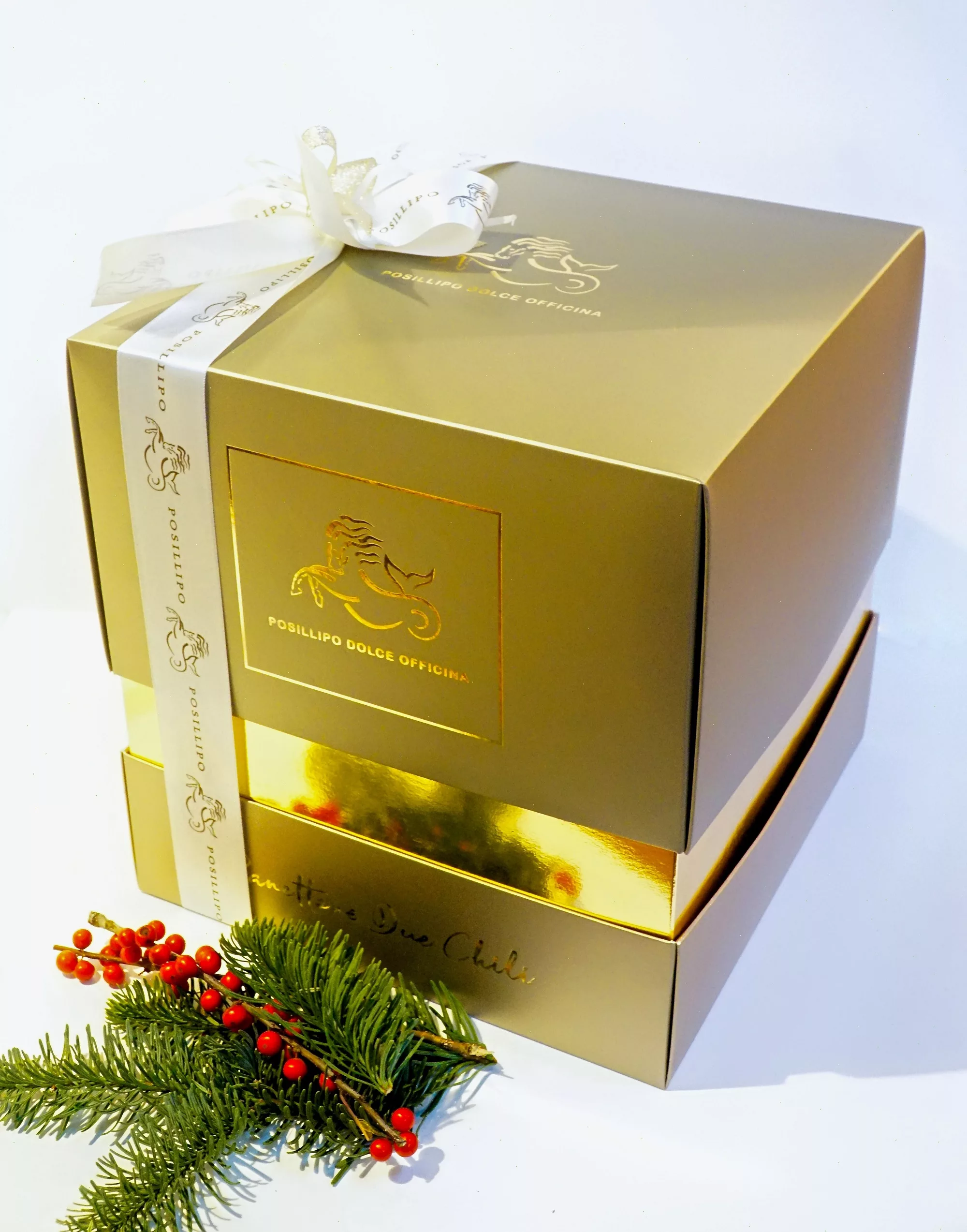 Panettone 2 Kili Posilippo