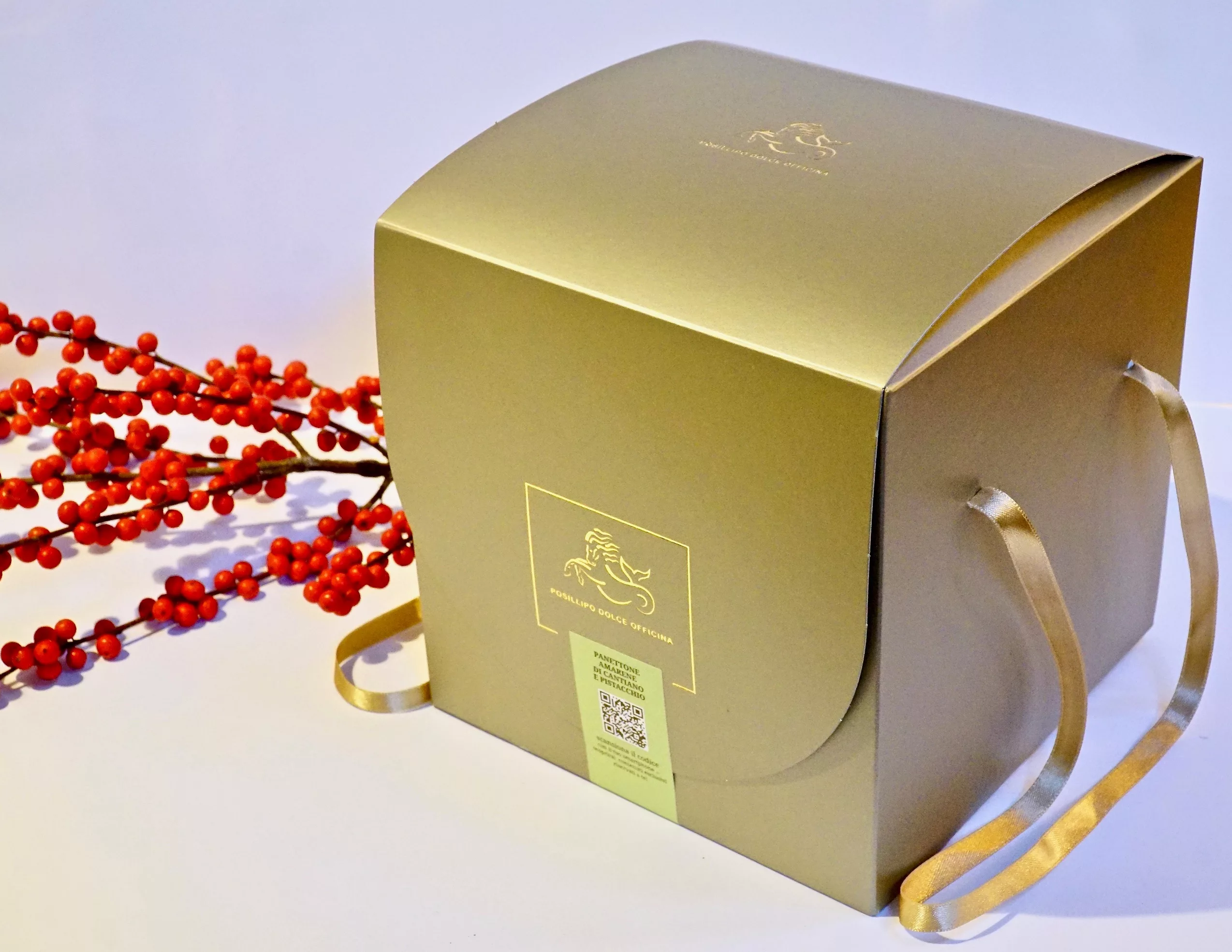 AMARENE DI CANTIANO POSILLIPO NATALE PANETTONE
