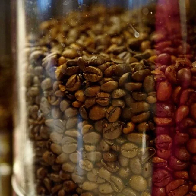 chicchi caffè mogi