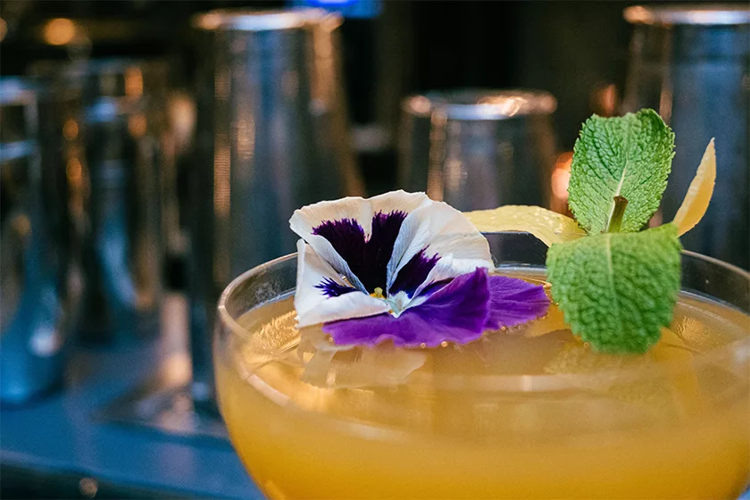 Ercoli 1928 - Cocktail